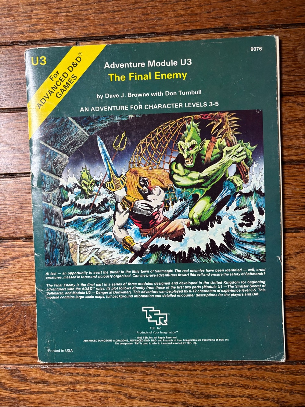 Vintage Dungeons and Dragons The Final Enemy Adventure Module U3